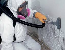 Best Emergency Mold Remediation  in Sandstone, MN